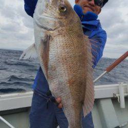 飛燕さくら丸 釣果