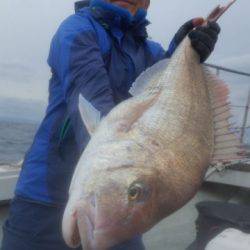 飛燕さくら丸 釣果