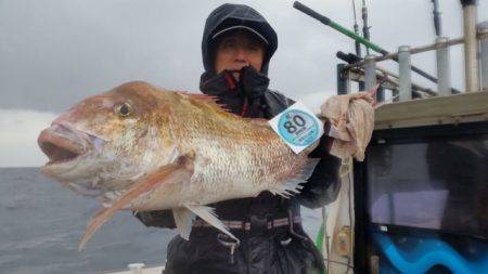 飛燕さくら丸 釣果