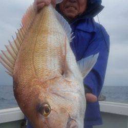 飛燕さくら丸 釣果