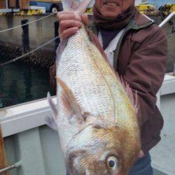 飛燕さくら丸 釣果