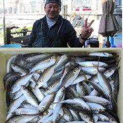 荒川屋 釣果