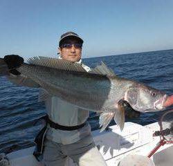 開進丸 釣果