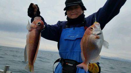 つれ鷹丸 釣果