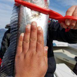 遊漁船　ニライカナイ 釣果