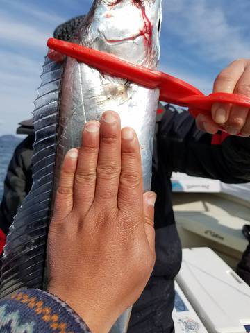 遊漁船　ニライカナイ 釣果