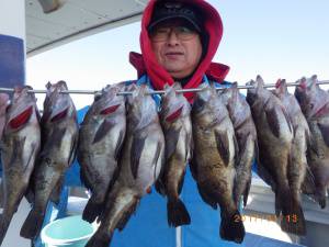 石川丸 釣果