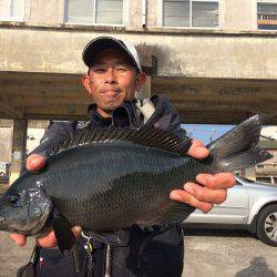 海星丸 釣果