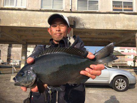 海星丸 釣果