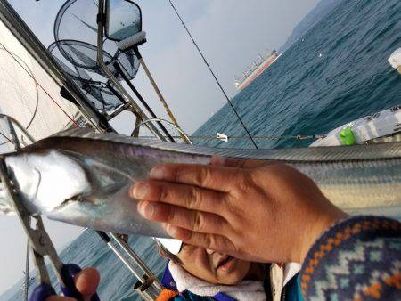 遊漁船　ニライカナイ 釣果