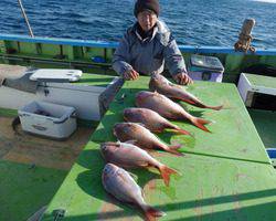 久里浜黒川本家 釣果