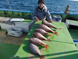 久里浜黒川本家 釣果