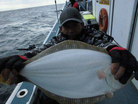 大進丸（愛知） 釣果