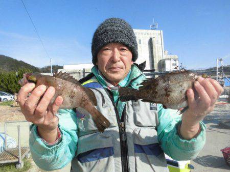 大進丸（愛知） 釣果