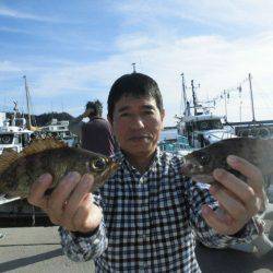 大進丸（愛知） 釣果