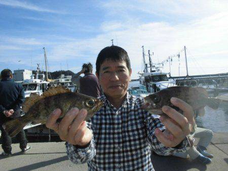 大進丸（愛知） 釣果