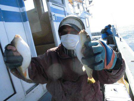 大進丸（愛知） 釣果