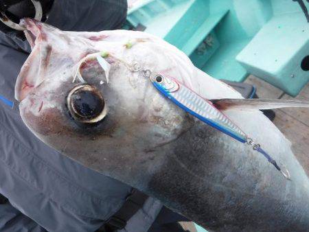 三吉丸 釣果