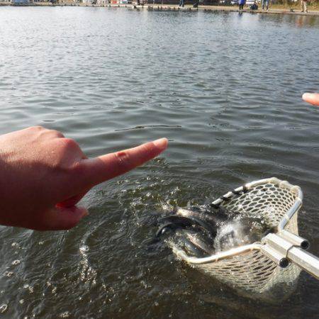 浜名湖フィッシングリゾート 釣果