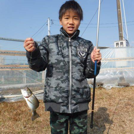 浜名湖フィッシングリゾート 釣果