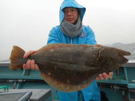 大進丸（愛知） 釣果