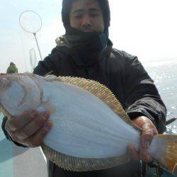 大進丸（愛知） 釣果