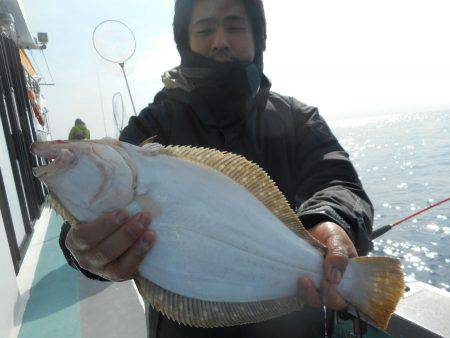 大進丸（愛知） 釣果