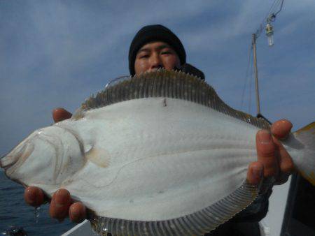 大進丸（愛知） 釣果