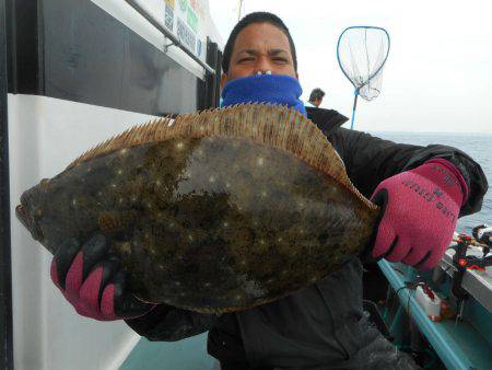 大進丸（愛知） 釣果