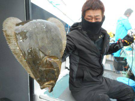 大進丸（愛知） 釣果