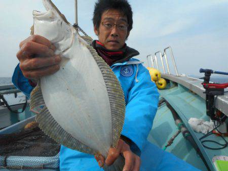 大進丸（愛知） 釣果