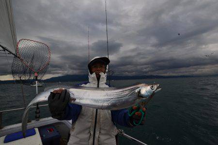 アジアマリンサービス 釣果