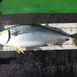 海宝丸　島根 釣果