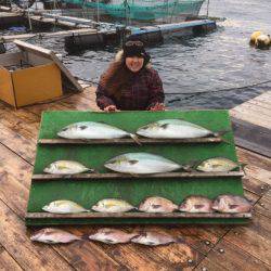 みうら海王 釣果