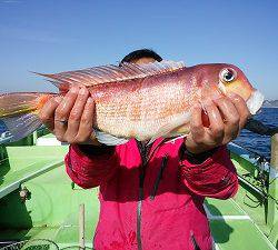 利八丸 釣果