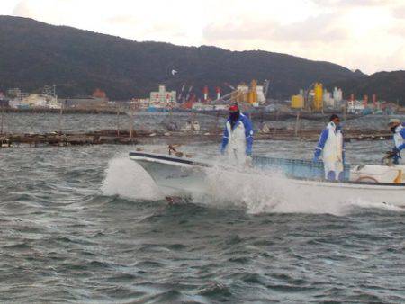 淡路じゃのひれフィッシングパーク 釣果