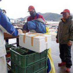 淡路じゃのひれフィッシングパーク 釣果