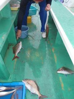 第二むつ漁丸 釣果