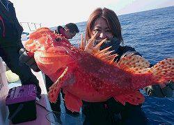 しまや丸 釣果