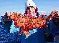 しまや丸 釣果