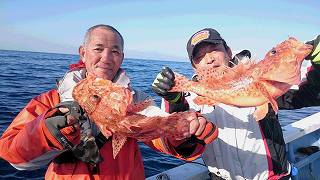 しまや丸 釣果