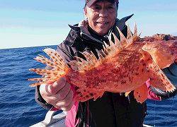 しまや丸 釣果