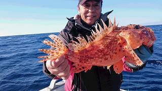 しまや丸 釣果