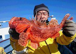 しまや丸 釣果