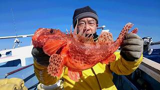 しまや丸 釣果