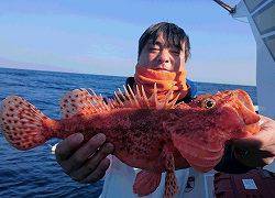 しまや丸 釣果