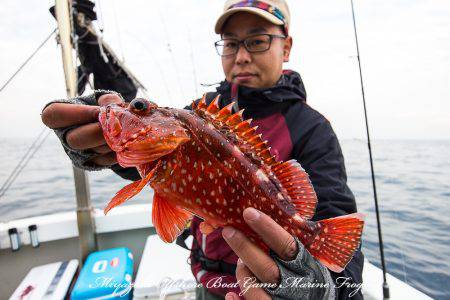 Marine Frog 釣果