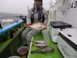 久里浜黒川本家 釣果