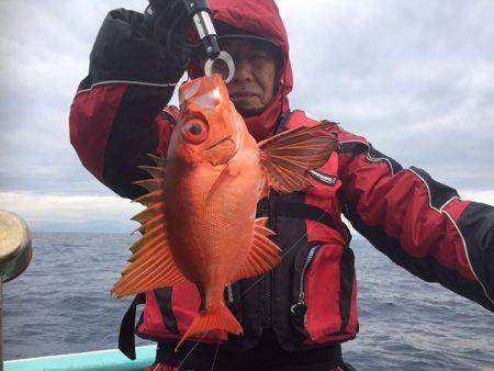 三吉丸 釣果