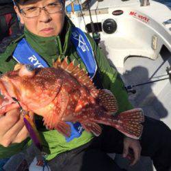 シーモンキー 釣果